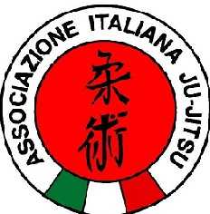 Grande successo a  Manesseno con lo spettacolo di Ju Jitsu