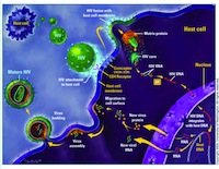 Campania, allarme sanità: l'aids miete ancora vittime
