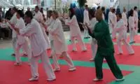 Giornata Mondiale del Taiji Quan: appuntamento sabato 27 aprile alle ore 10 a Genova