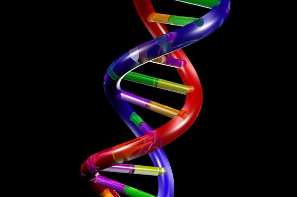 Auguri ai 60 anni del DNA
