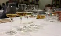 Varese: prosegue la XIII settimana "Grappa"