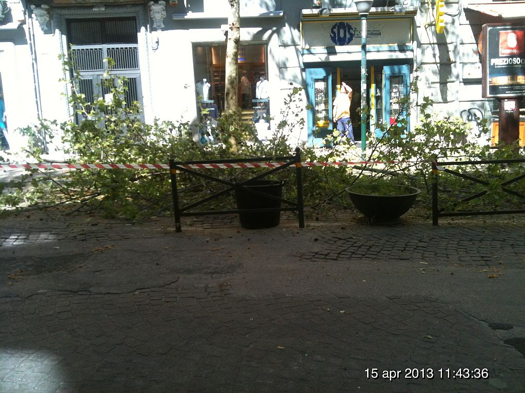 Vomero:polemiche per la potatura degli alberi [Video]