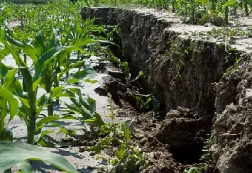 Altri 10 milioni di euro stanziati dall'Emilia Romagna a sostegno dell'agricoltura