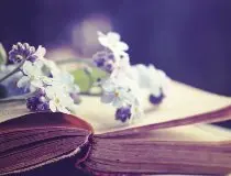 Libri News Aprile 2013