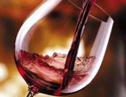Vinitaly, Slow Food presenta "Montepulciano d'Abruzzo: un grande vino"