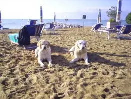 Giulianova, spostata Unica Beach in una zona non balneabile