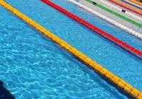 I giovanissimi della San Francesco Histonium impegnati nel Gran Prix di nuoto a Pescara