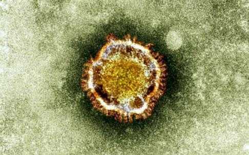 Mortale e contagioso, un misterioso coronavirus fa tremare l'Asia