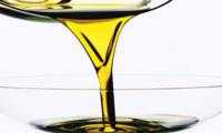 Termoli: Consorzio di garanzia dell'olio extra vergine di oliva di qualità