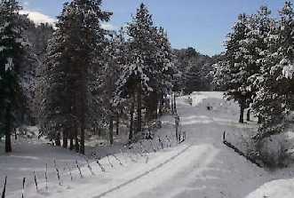 Grandi nevicate sui rilievi calabresi