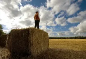 Donne contro la crisi: 103 mila imprese femminili nel 2012