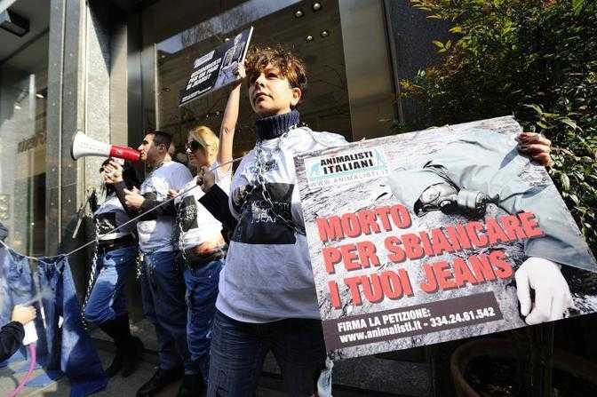 "Vestiti senza sporcarti di sangue": animalisti contro Roberto Cavalli