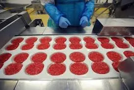Carne di cavallo, via libera dell'Ue ai controlli a tappeto