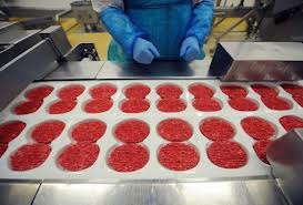 Carne di cavallo, via libera dell'Ue ai controlli a tappeto