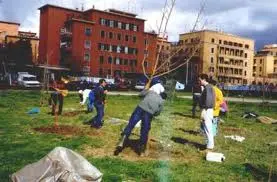 Un albero per ogni bimbo che nasce: in arrivo migliaia di "fiocchi verdi" nei Comuni italiani