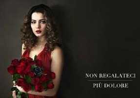 San Valentino, Miss Italia appoggia "One Billion Rising"