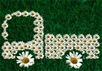 Arrivano i nuovi incentivi per comprare veicoli non inquinanti