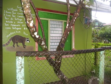 La nazione più felice del mondo: Bienvenidos a Costa Rica