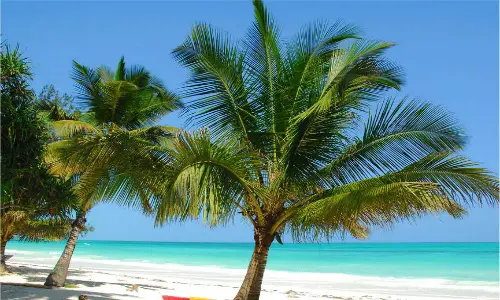Kenya, rapina in un resort. Ferita una turista italiana