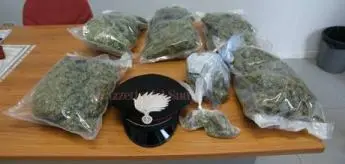 Arrestato giovane in possesso di marijuana