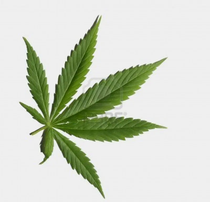 Bambino malato curato con la marijuana
