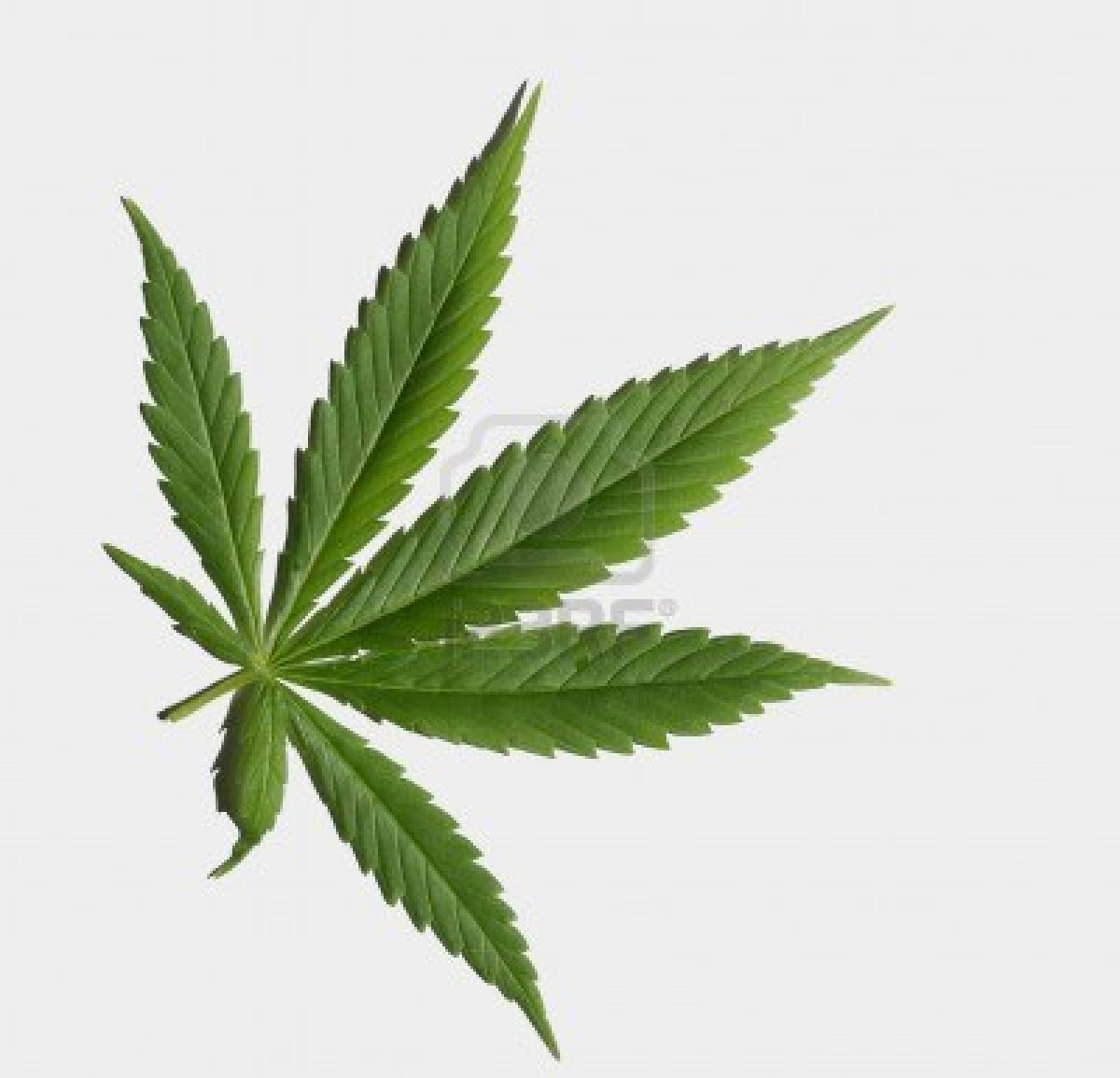 Bambino malato curato con la marijuana