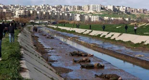 Siria, oggi 157 attivisti uccisi