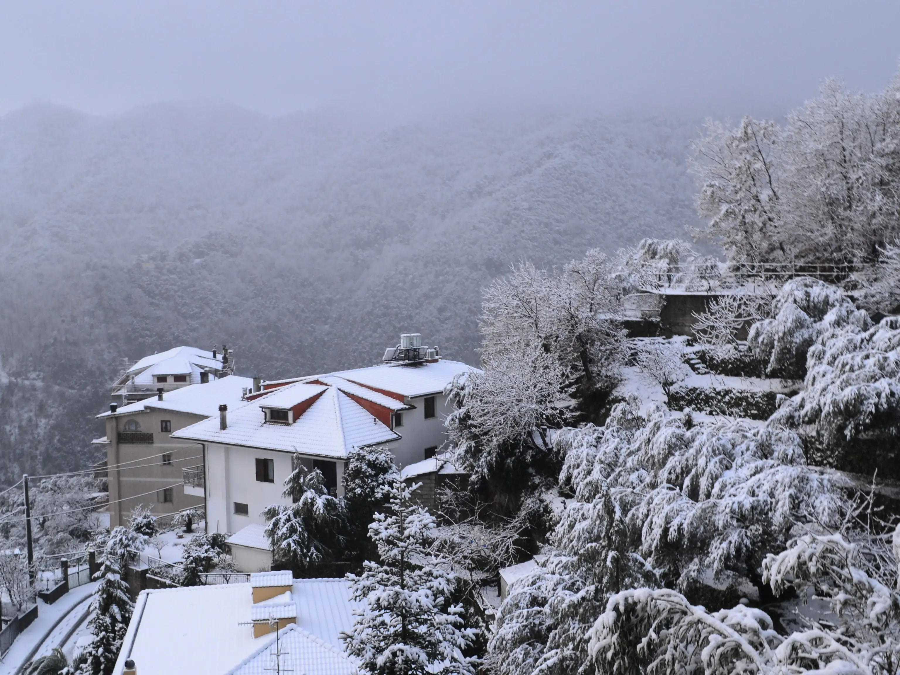 E' arrivata la neve