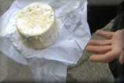 Allarme Listeria in Europa per il formaggio francese commercializzato in 12 Paesi