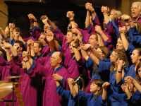 Il coro nazionale Italian Gospel Choir vittima di razzismo su Facebook