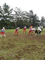 Football Americano: un pareggio e una sconfitta al bowl romano da parte dei Crusaders Cagliari