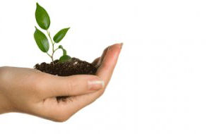 Approvato il "decreto crescita"