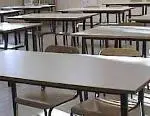 Scuola: basta "classi pollaio"