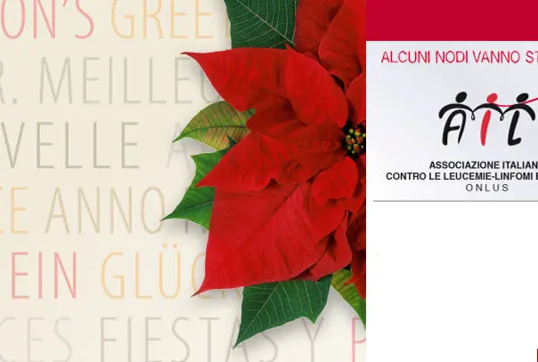 Ail: stelle di Natale in 4000 piazze