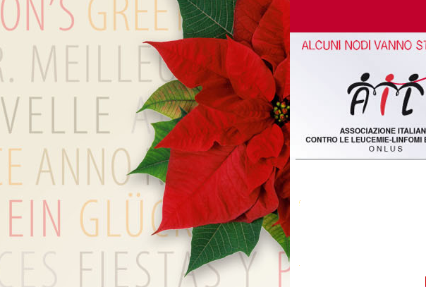 Ail: stelle di Natale in 4000 piazze