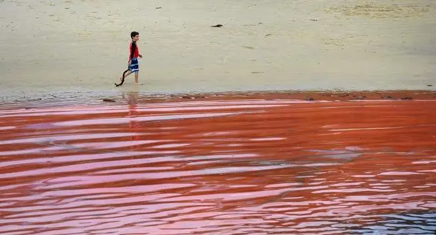 Profondo rosso nelle acque australiane