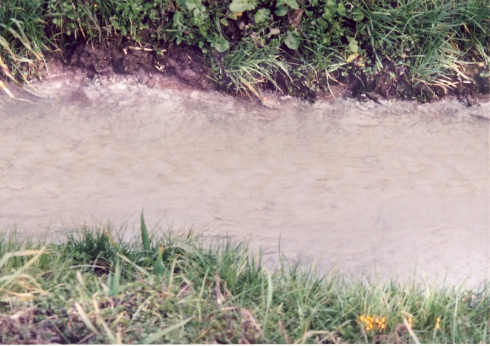 Condannato per uso di cocaina: assolto in appello, la droga era nell'acqua del fossato in cui cadde