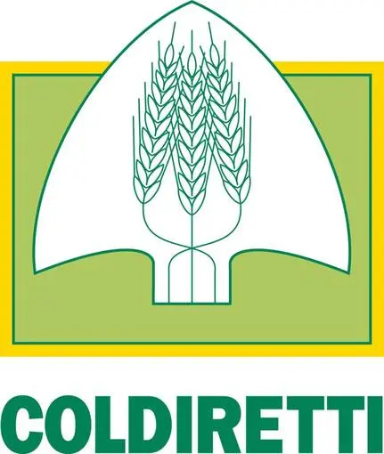 Crisi: Coldiretti, tornano camini e caldaie; +26% importazione legna