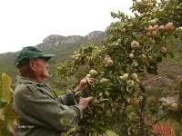 Da sabato 27 ottobre a Ussassai la Sagra della Mela