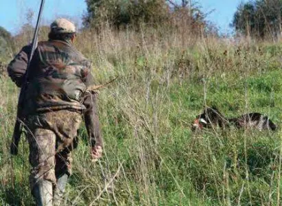 Piemonte: caccia sospesa in 25 aree
