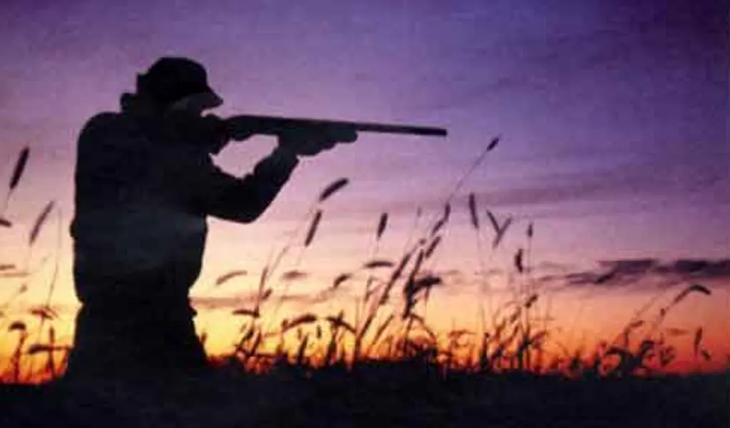 Attività venatoria: animalisti 1- Regione Veneto 0