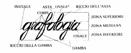 Il Grafologo: una professione allo specchio