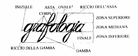 Il Grafologo: una professione allo specchio