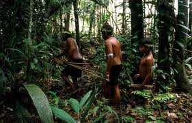 Fame, pericoli e malattie, gli Indios d'Amazzonia scrivono al governo