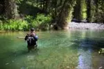 Ripopolamento ittico: il 28 immissione di trote nel fiume Cannavino