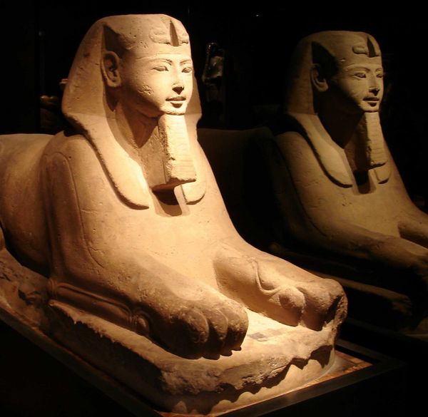 Museo Egizio in scena ad Area 12