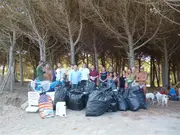 Tarquinia (VT) pulita la pineta di San Giorgio