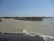Tarquinia (Vt) fare verde presenta denuncia per situazione fiume Marta
