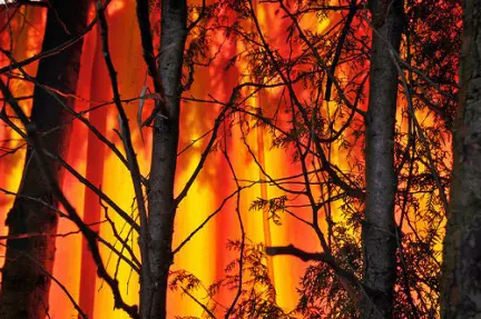 Incendi:  Salerno 21, Matera e Catanzaro 11, Cosenza  9, Potenza 7, Caserta 6