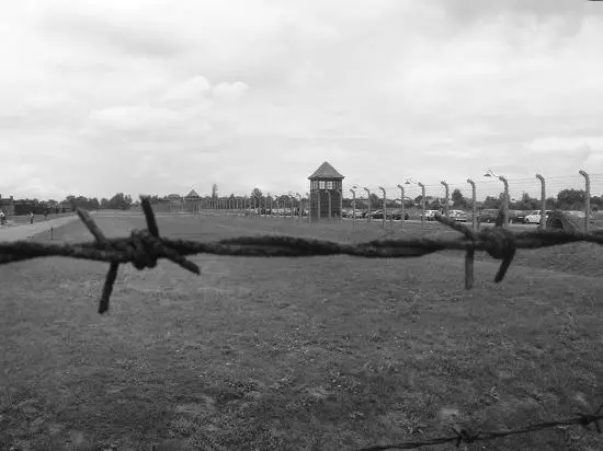 Italiano ruba filo spinato del campo di concentramento di Auschwitz